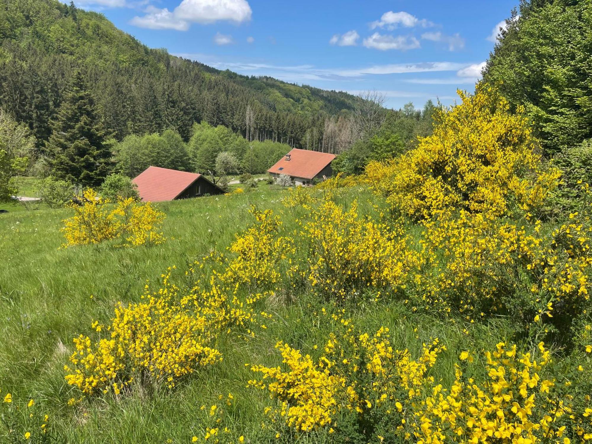La Hutte Villa Tendon Екстериор снимка